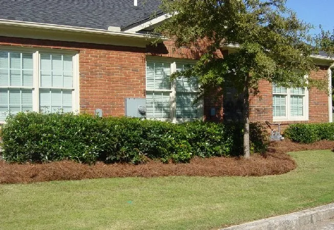 Reliable outdoor landscaping in Garland, NC - Melvin's Do It All Lawn Care