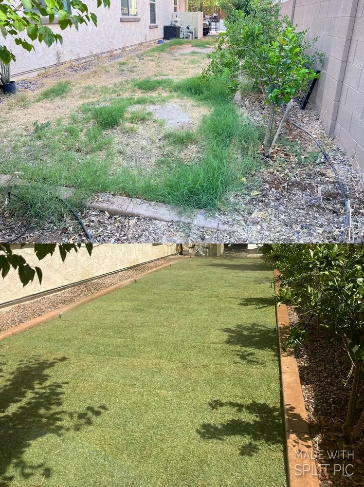 Custom yard maintenance for beautiful yards across Chandler, AZ - Melvin's Landscaping