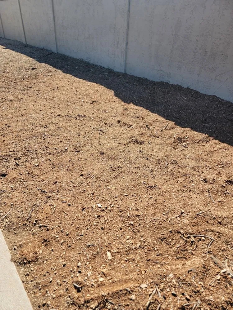 Top-rated yard maintenance experts serving Chandler, AZ - Melvin's Landscaping