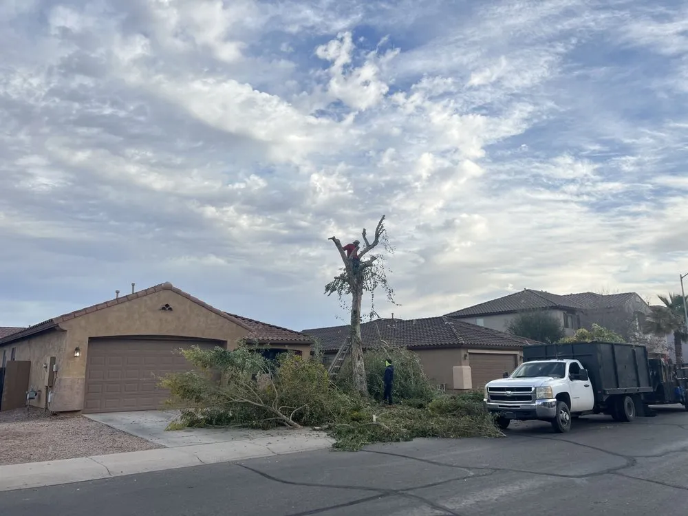 Local outdoor landscaping in Chandler, AZ - Melvin's Landscaping