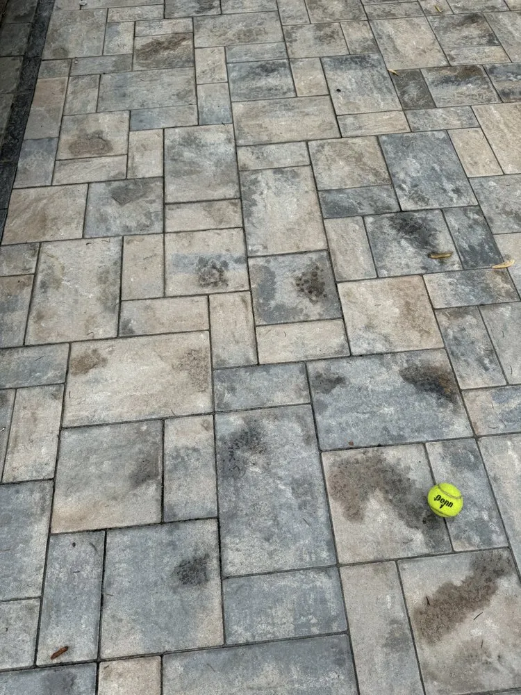 Professional lawn care service in Providence, RI - Melvins Outdoor Living