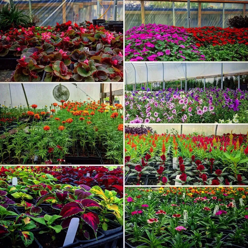 Affordable outdoor landscaping for beautiful yards across Fairburn, GA - MEM Landscaping