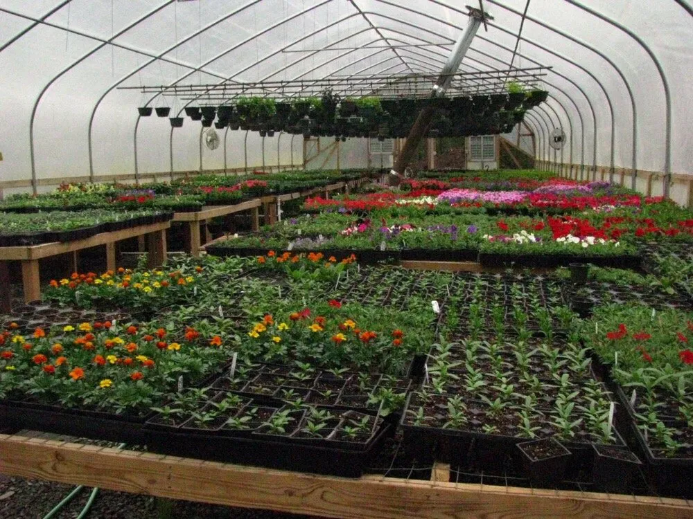 Top-rated landscaping services for beautiful yards in Fairburn, GA by MEM Landscaping