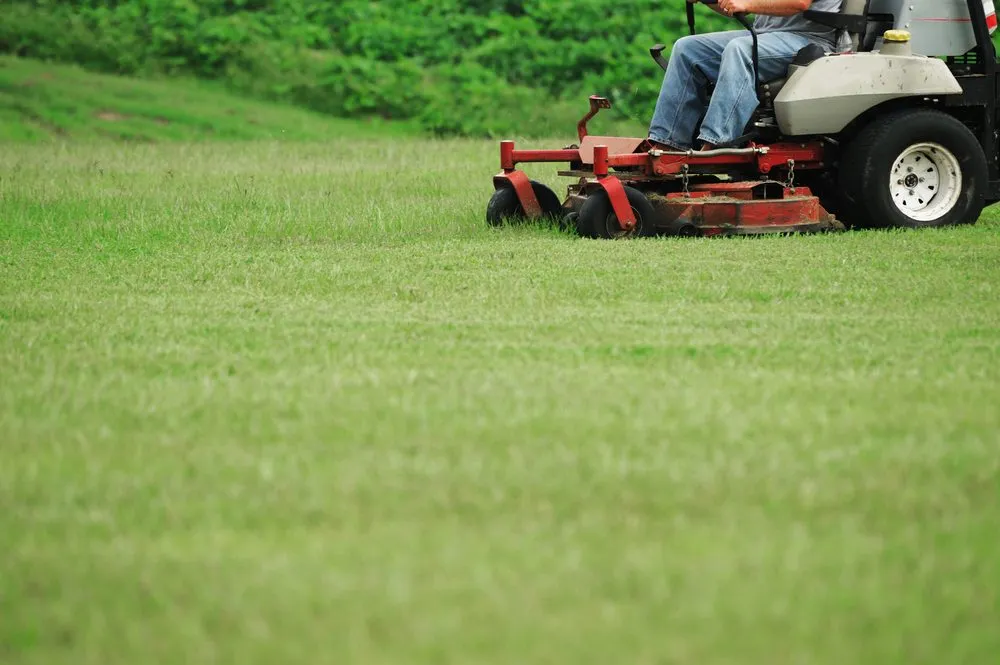 Affordable residential landscaping with custom design in Fairburn, GA by MEM Landscaping