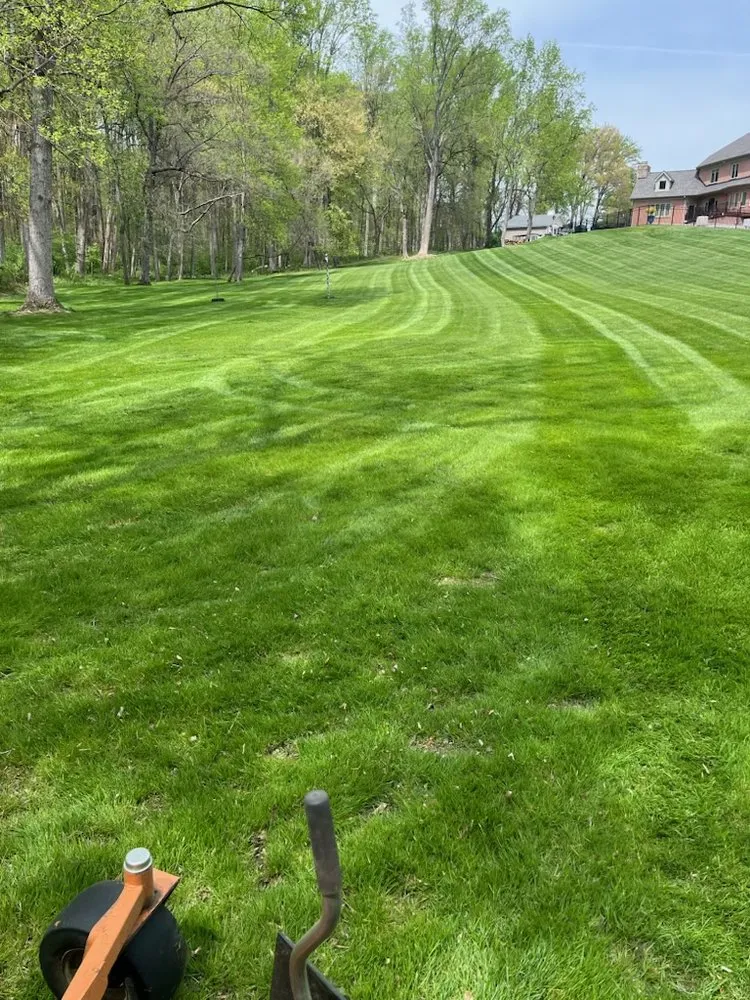 Affordable landscape design for year-round maintenance across Aquasco, MD - Membreno Landscaping & Contracting
