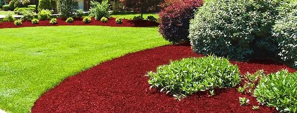 Membreno Landscaping Logo