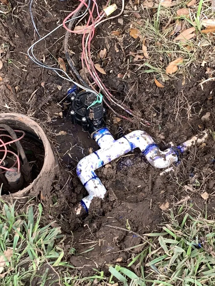 Affordable lawn mowing service in Rosenberg, TX by Memelandscaping