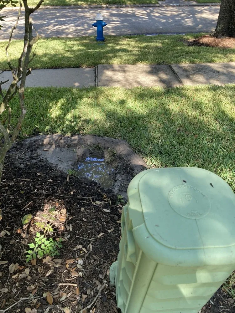 Trusted yard cleanup service in Rosenberg, TX - Memelandscaping