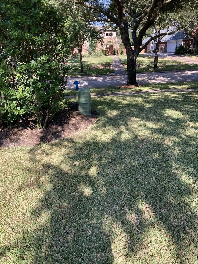 Reliable landscaping services for year-round maintenance in Rosenberg, TX by Memelandscaping