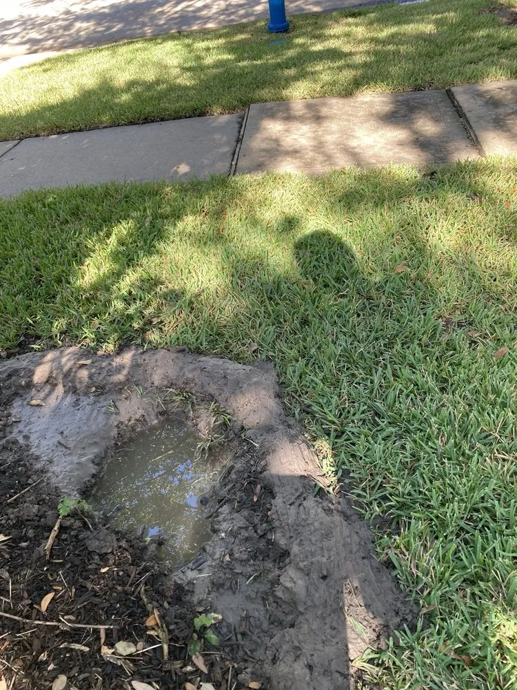 Expert residential landscaping experts serving Rosenberg, TX - Memelandscaping