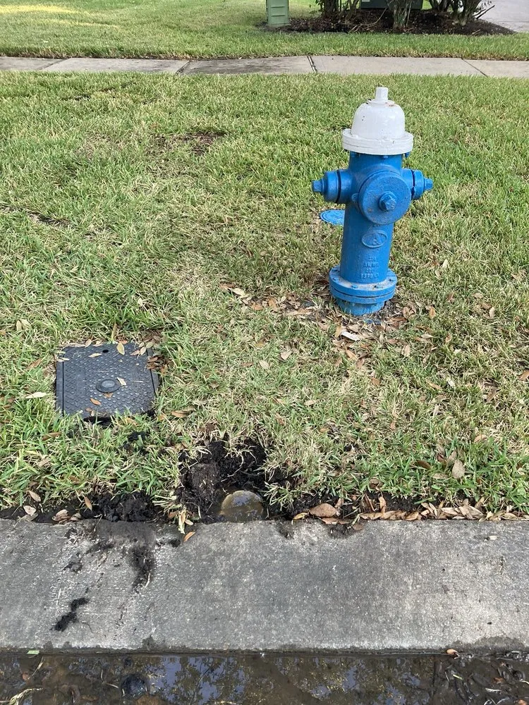 Expert garden landscaping in Rosenberg, TX by Memelandscaping