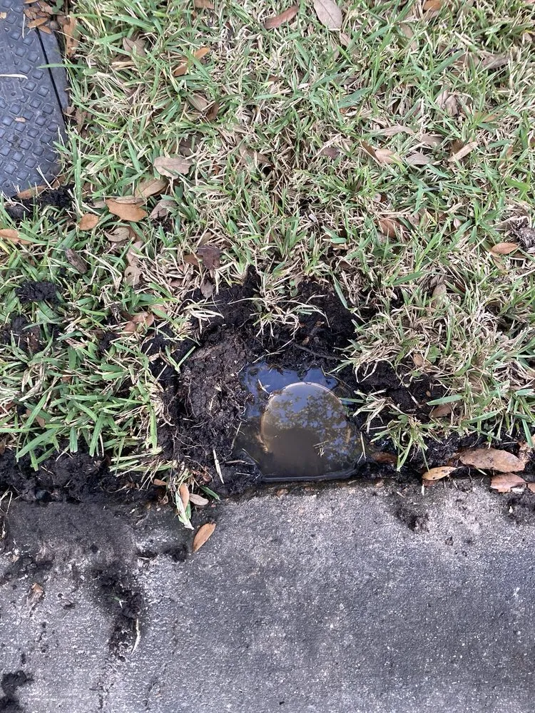 Affordable lawn mowing service experts serving Rosenberg, TX - Memelandscaping