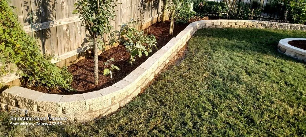 Professional yard cleanup service experts serving Rosenberg, TX - Memelandscaping