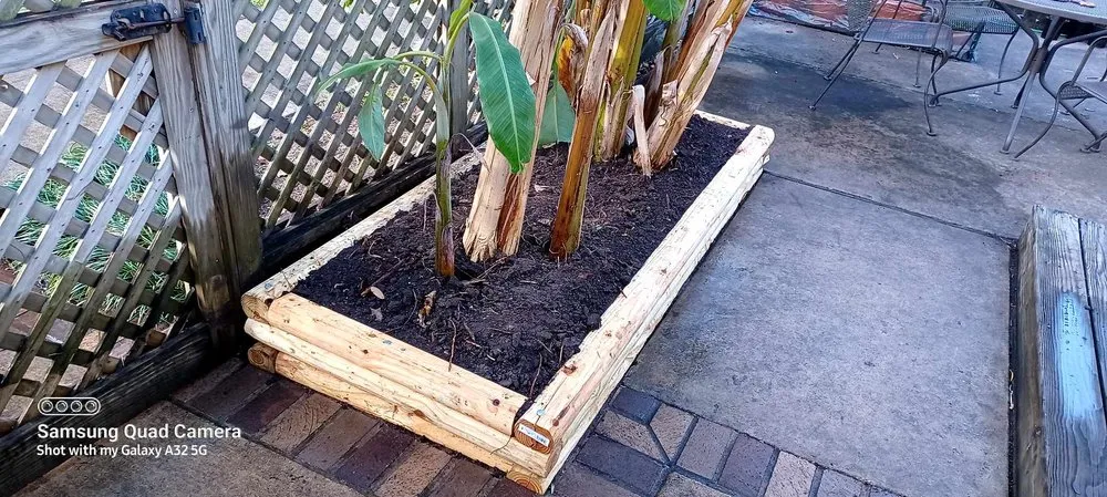 Trusted yard cleanup service near you in Rosenberg, TX by Memelandscaping