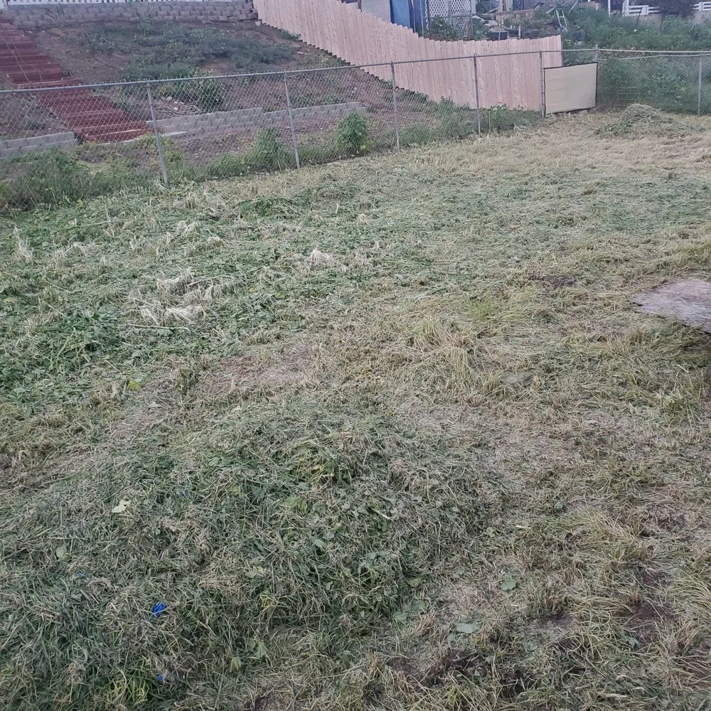 Expert lawn mowing service in National City, CA by Memos Landscape & Tree Services