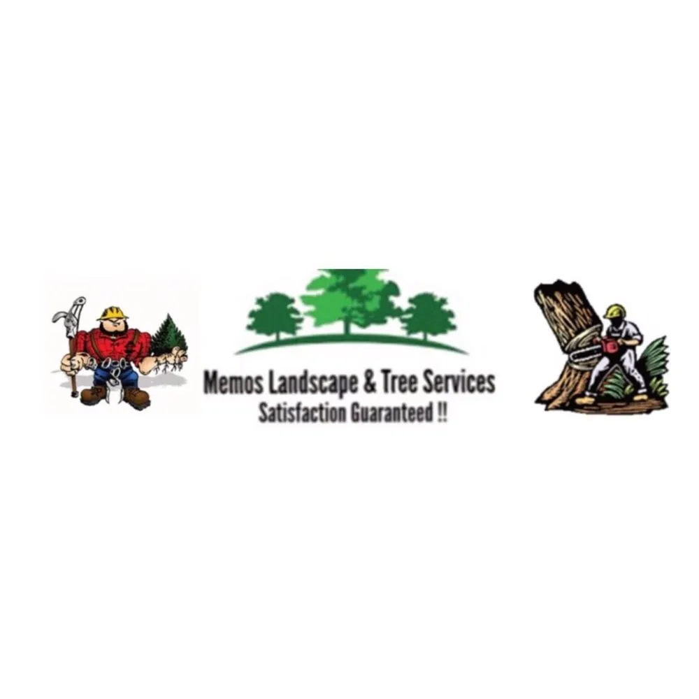 Expert yard cleanup service in National City, CA by Memos Landscape & Tree Services