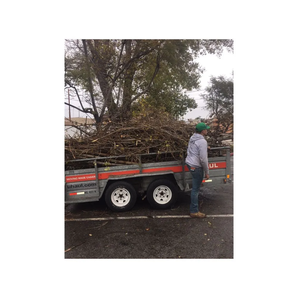 Custom lawn care service in National City, CA by Memos Landscape & Tree Services