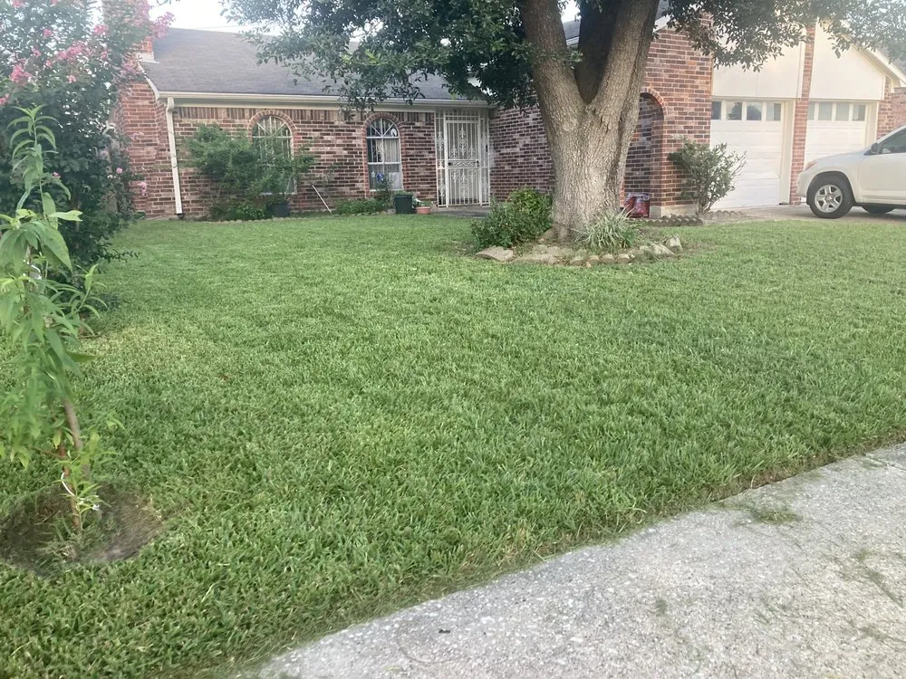 Trusted lawn mowing service near you in Houston, TX by Memo’s Lawn Care