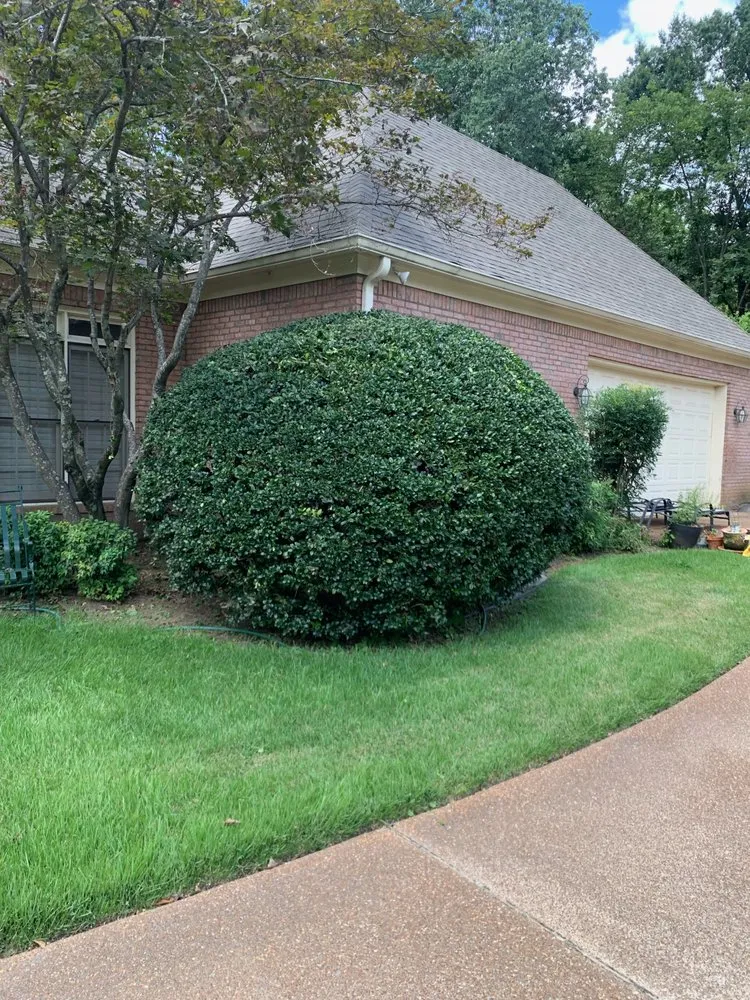 Affordable landscape installation in Memphis, TN - Memphis Best Lawn Care