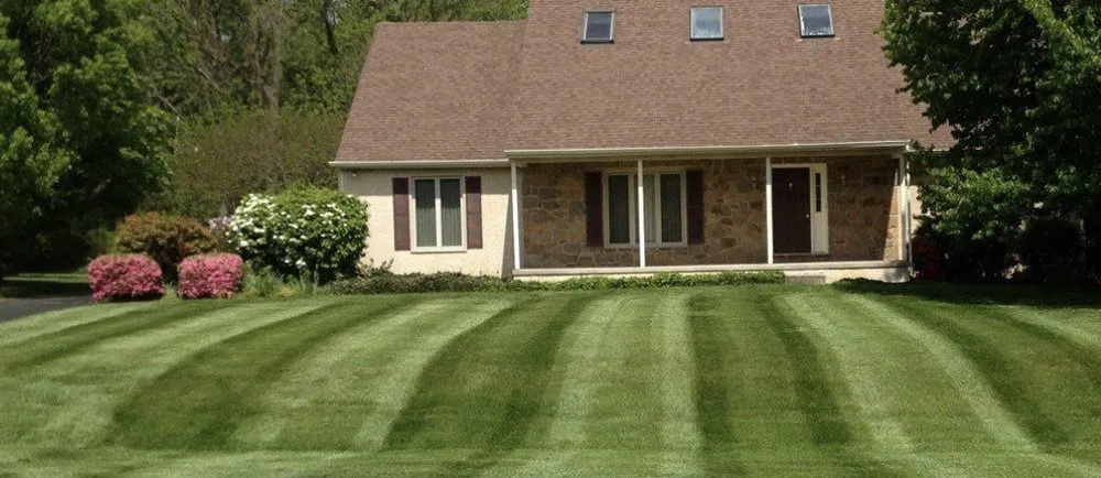 Affordable lawn mowing service experts serving Memphis, TN - Memphis Best Lawn Care
