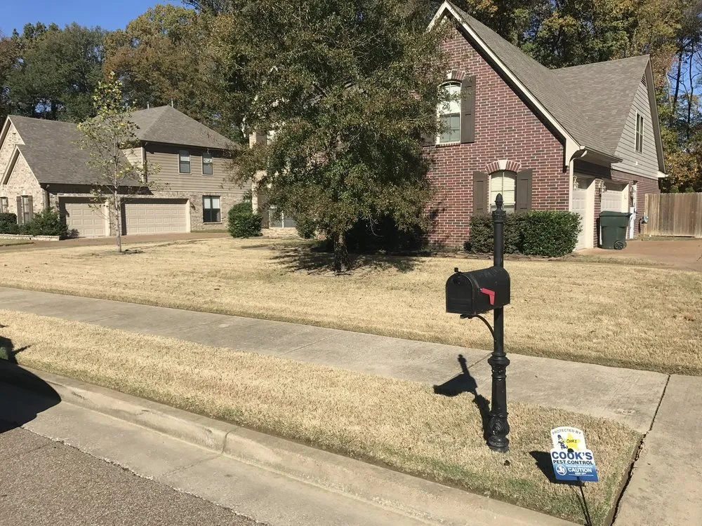 Expert lawn mowing service in Memphis, TN - Memphis Brothers Landscaping