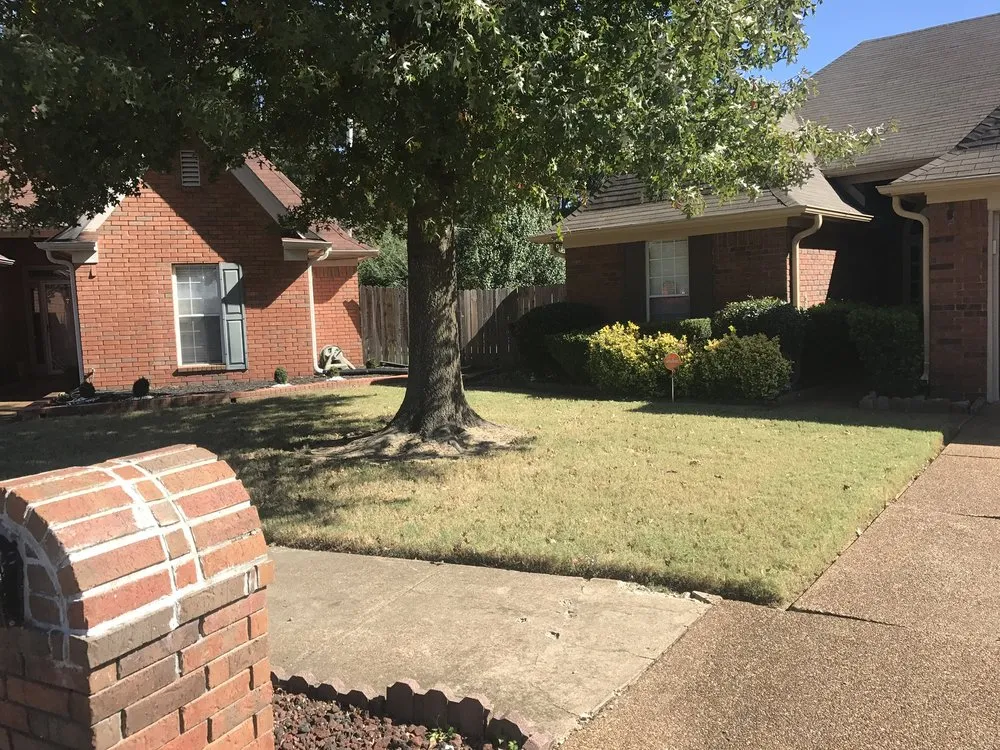 Trusted landscape design in Memphis, TN by Memphis Brothers Landscaping