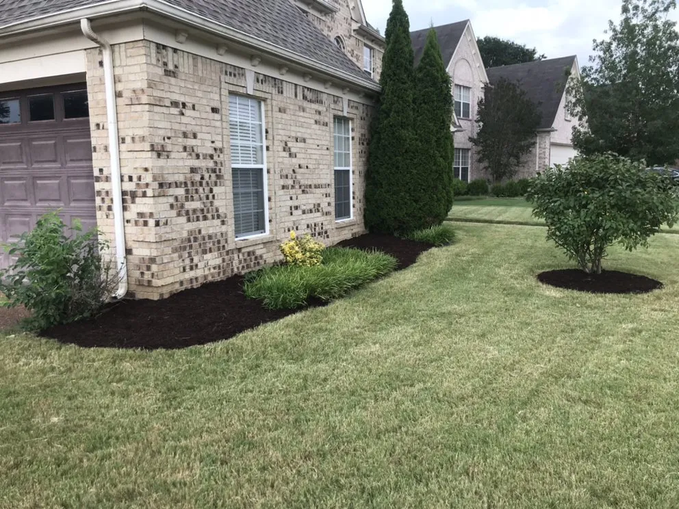 Custom yard cleanup service for homes in Cordova, TN by Memphis Lawn Care