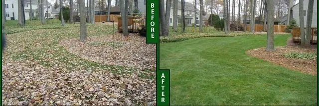 Top-rated lawn care service experts serving Memphis, TN - Memphis Leaf Removal