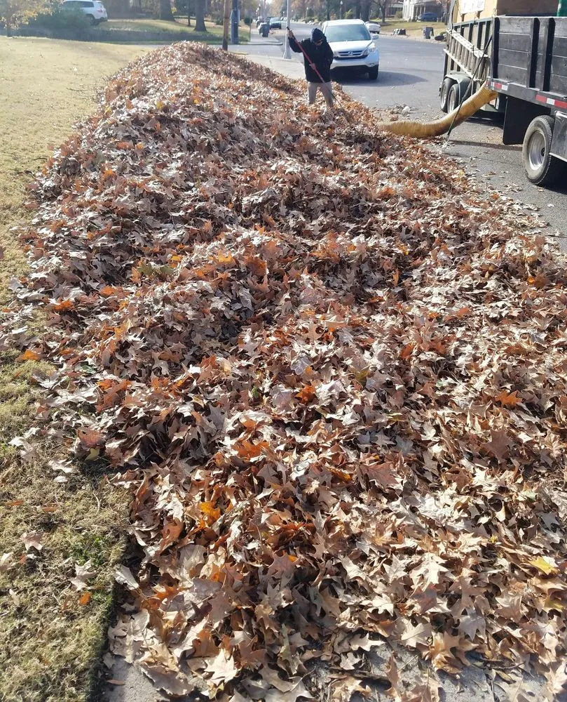 Custom garden landscaping near you across Memphis, TN - Memphis Leaf Removal