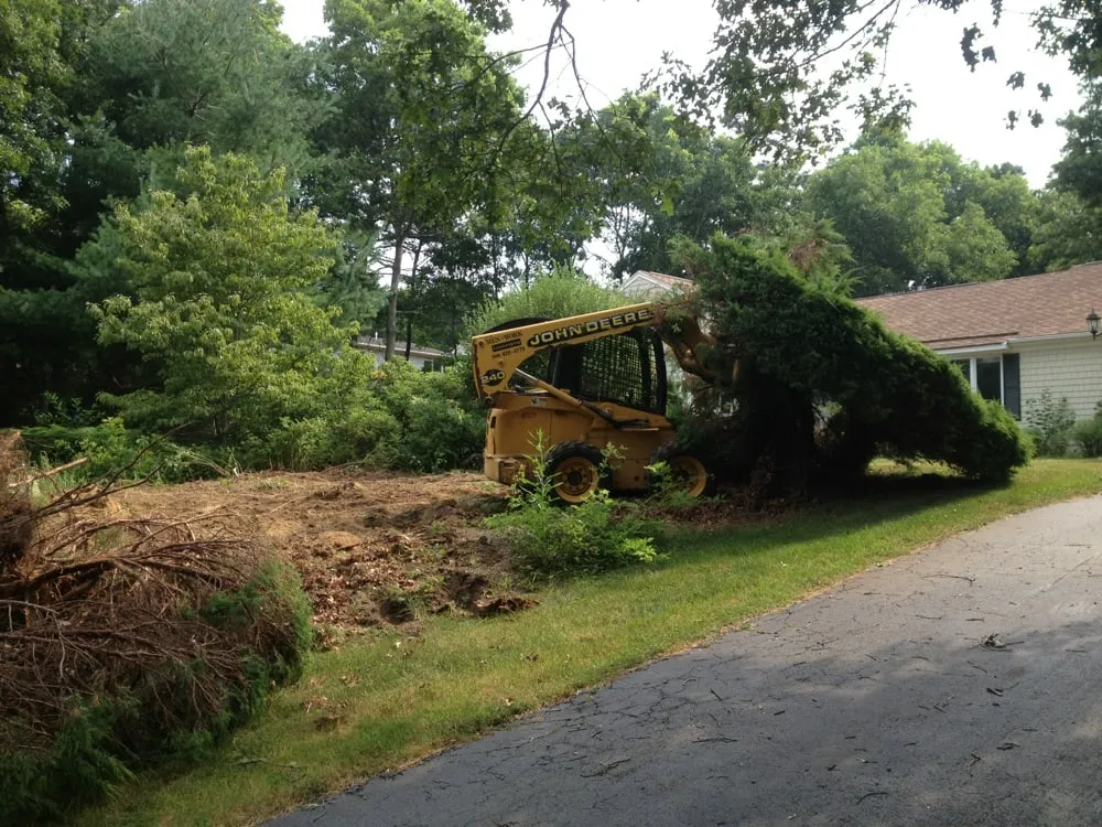 Local yard cleanup service experts serving Marstons Mills, MA - Men At Work
