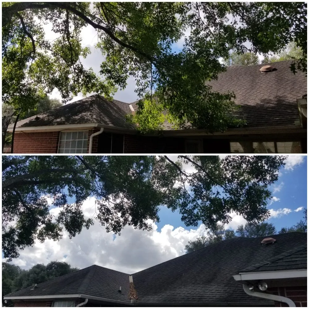 Professional landscaping services experts serving Chappell Hill, TX - Men In Chaps Tree Service