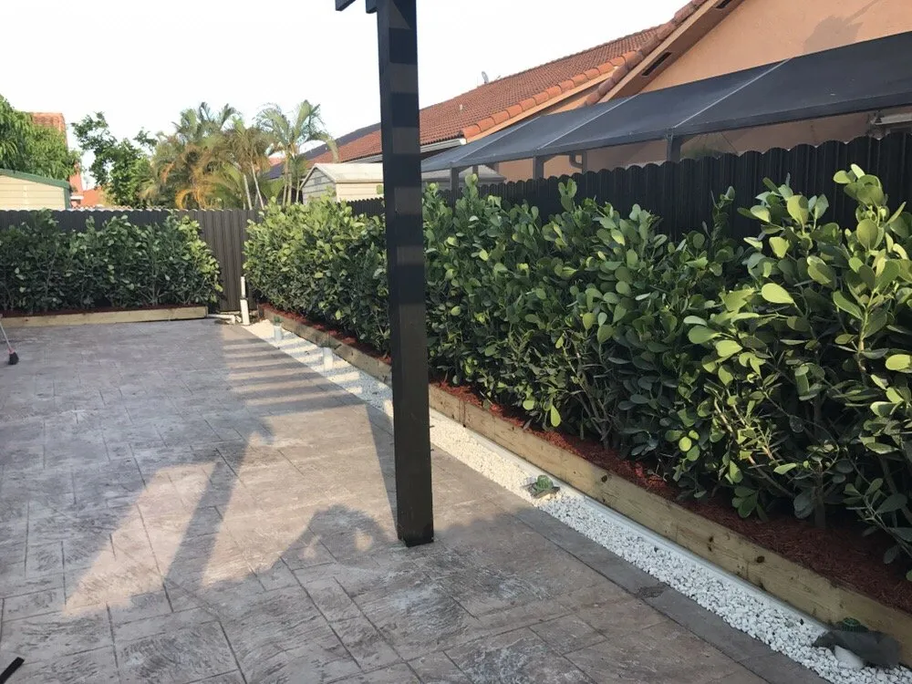 Local landscape design in Miami, FL - Men In Green