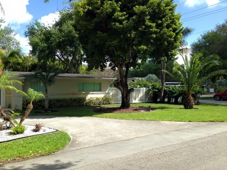 Affordable yard cleanup service experts serving Miami, FL - Men In Green