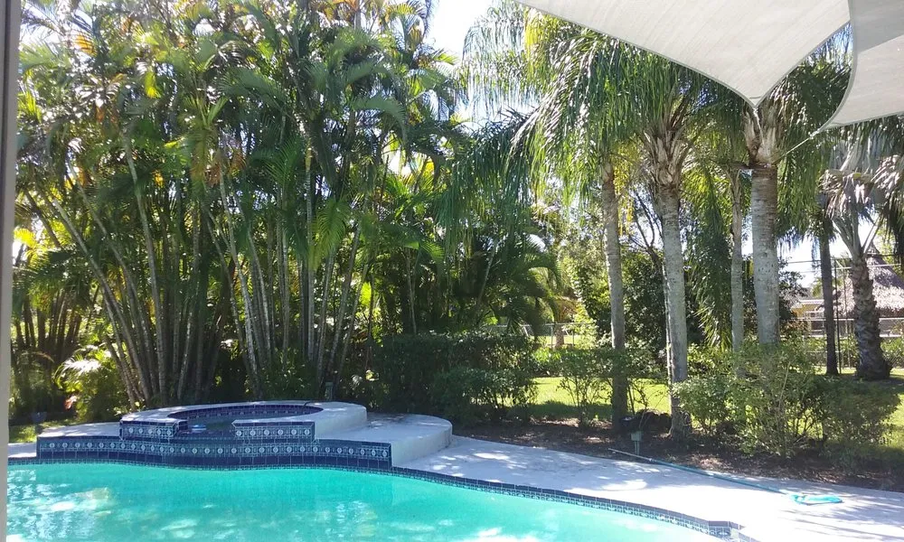 Reliable landscape installation with custom design in Miami, FL by Men In Green