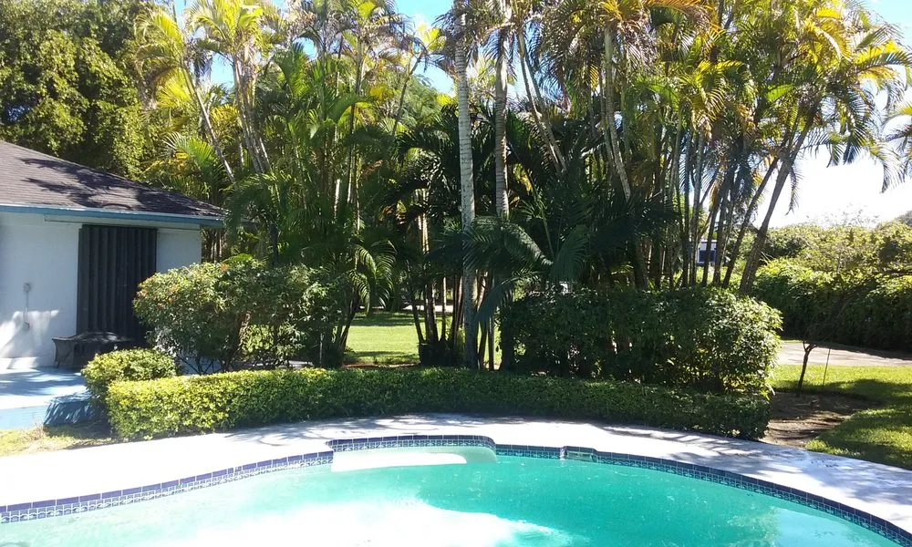 Local lawn mowing service for year-round maintenance across Miami, FL - Men In Green