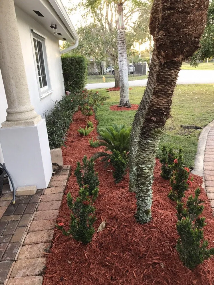 Professional outdoor landscaping in Miami, FL by Men In Green