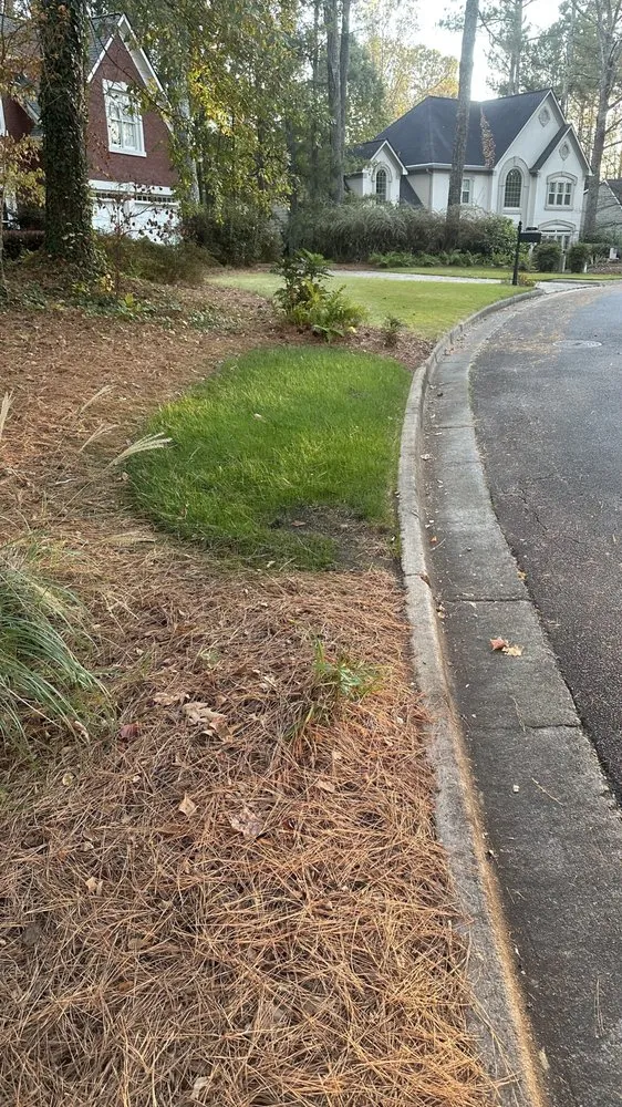 Top-rated residential landscaping in Marietta, GA - Men In Mulch