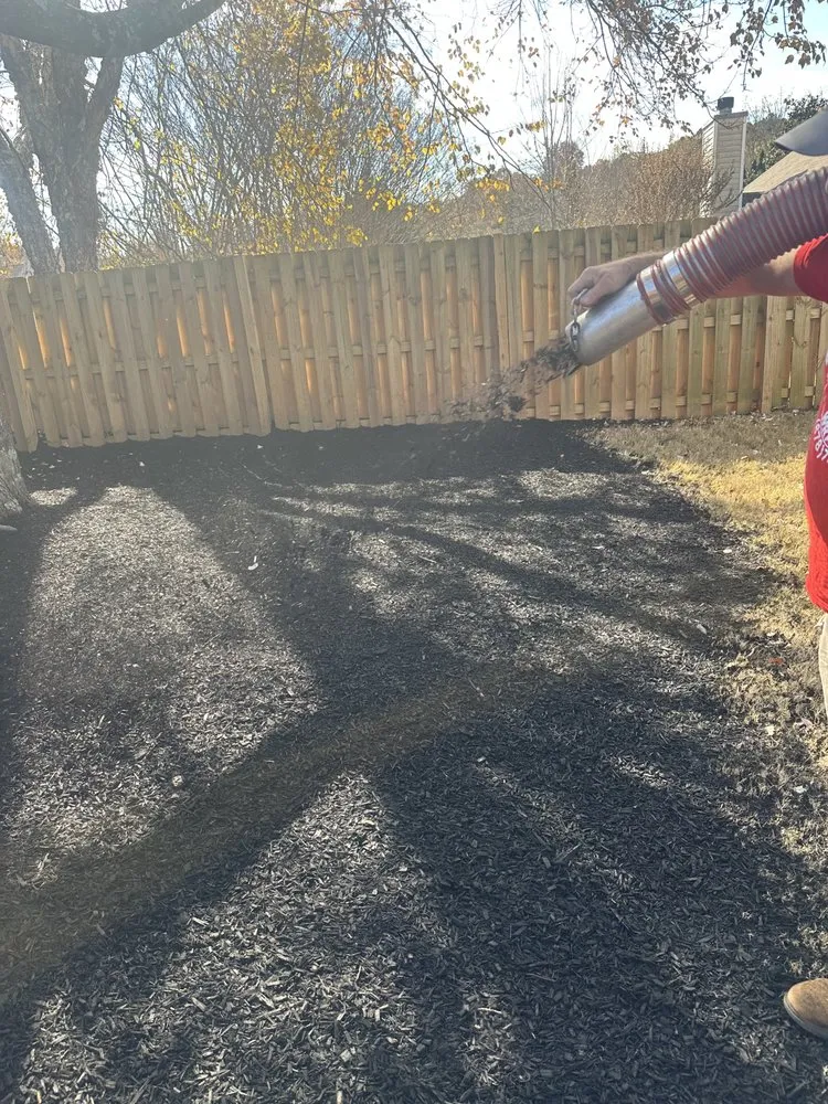 Reliable yard cleanup service for outdoor upgrades in Marietta, GA by Men In Mulch