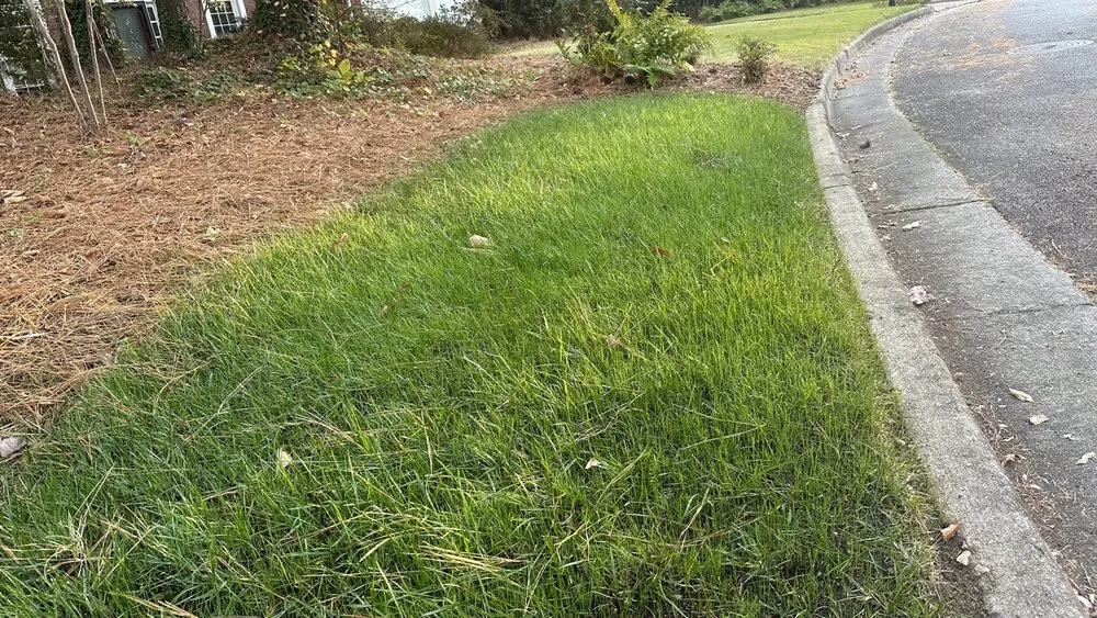 Expert landscape installation experts serving Marietta, GA - Men In Mulch