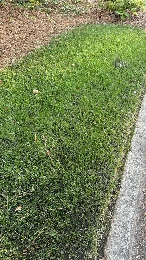 Custom landscaping services experts serving Marietta, GA - Men In Mulch