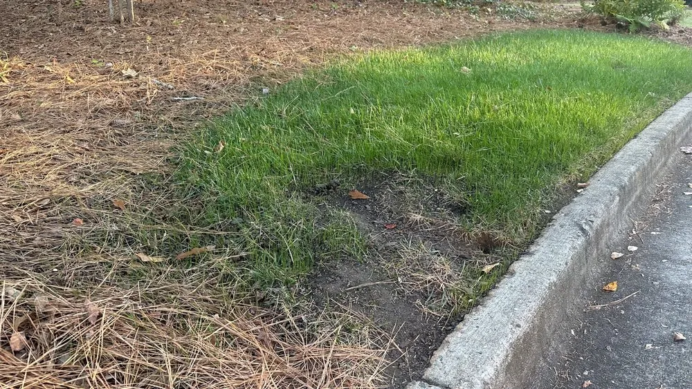 Trusted lawn mowing service in Marietta, GA - Men In Mulch