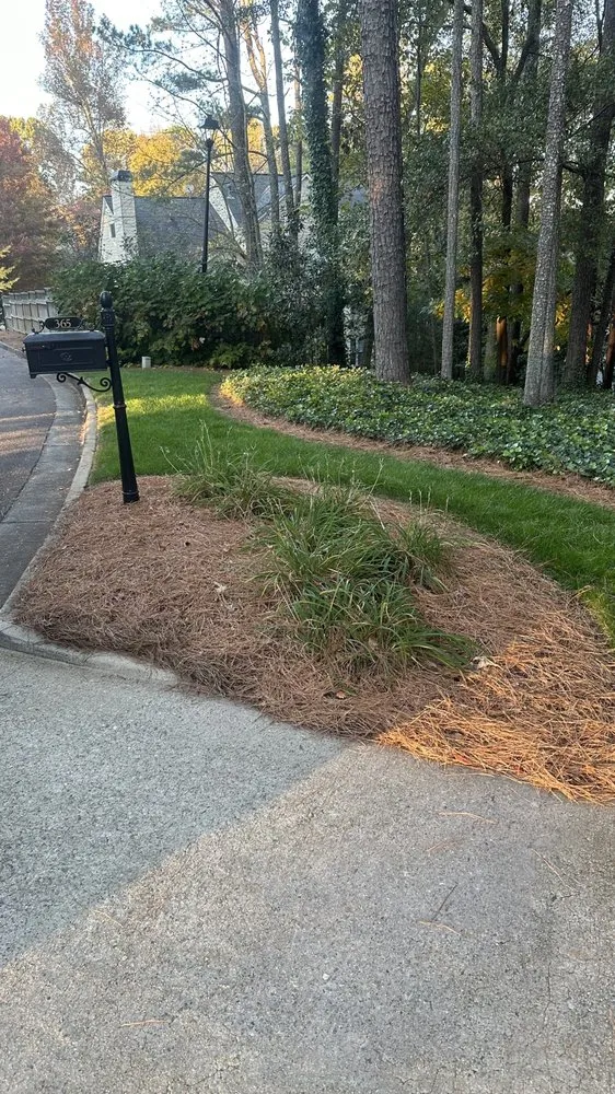 Top-rated yard maintenance in Marietta, GA by Men In Mulch