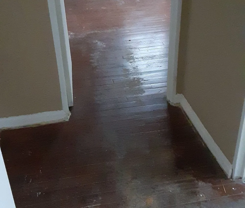 Affordable landscaping services for beautiful yards in Cincinnati, OH by Men of Many Hatz