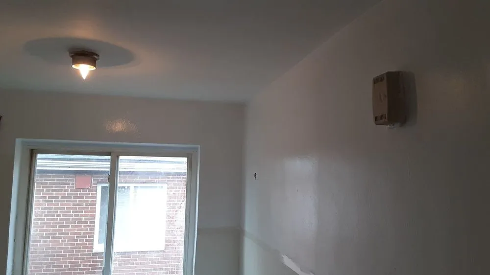 Reliable yard cleanup service in Cincinnati, OH - Men of Many Hatz