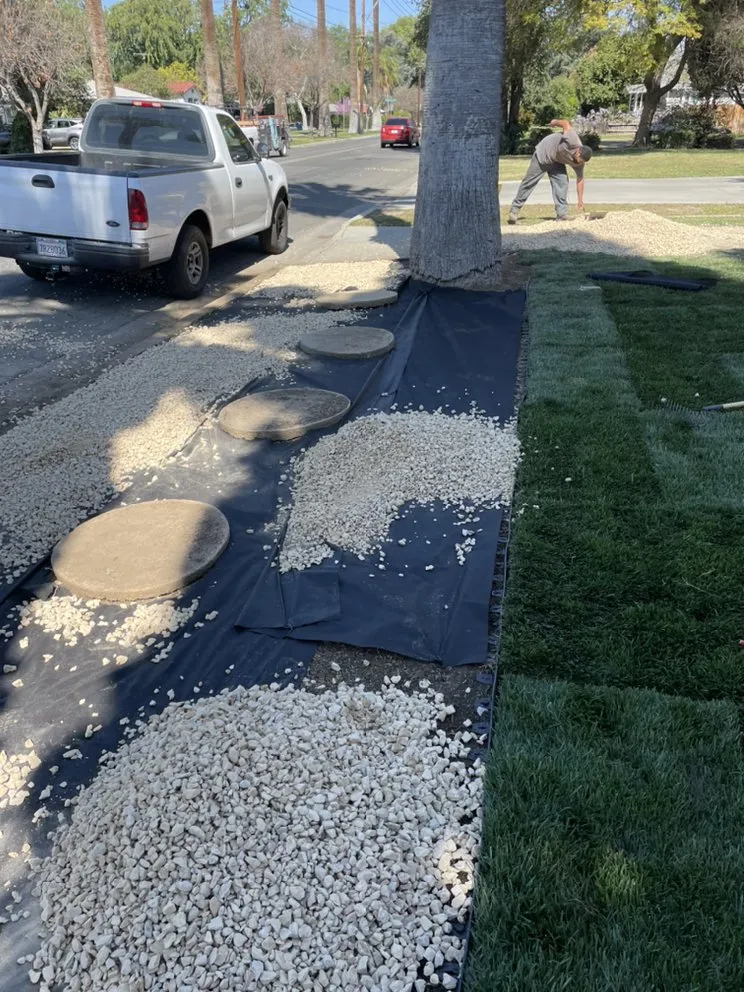 Reliable yard maintenance experts serving San Bernardino, CA - Mena Landscaping