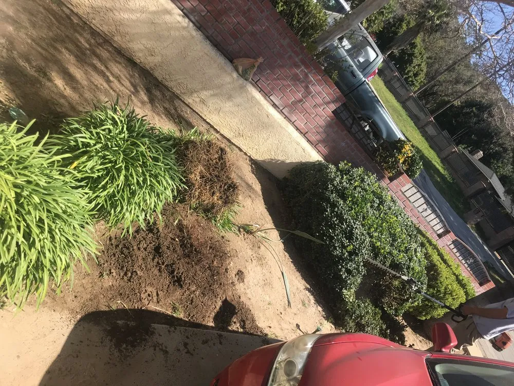 Expert yard maintenance experts serving San Bernardino, CA - Mena Landscaping