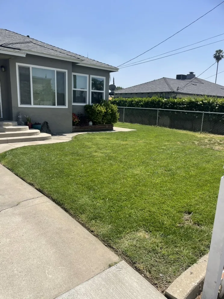 Professional landscape design for residential properties across San Bernardino, CA - Mena Landscaping