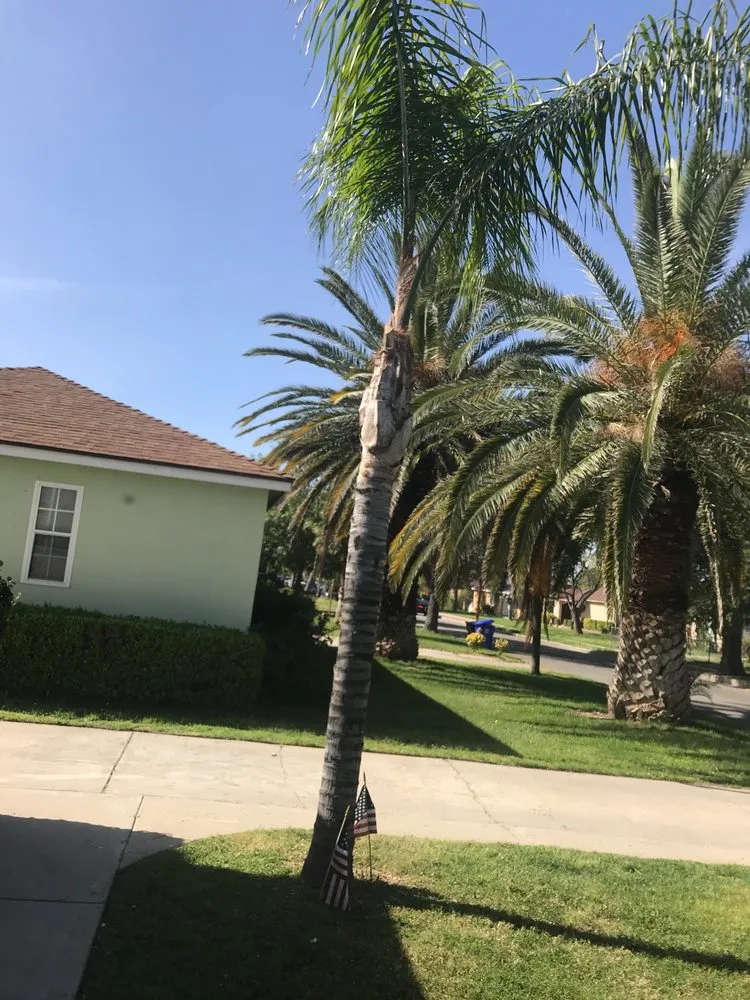 Professional landscaping services for homes across San Bernardino, CA - Mena Landscaping