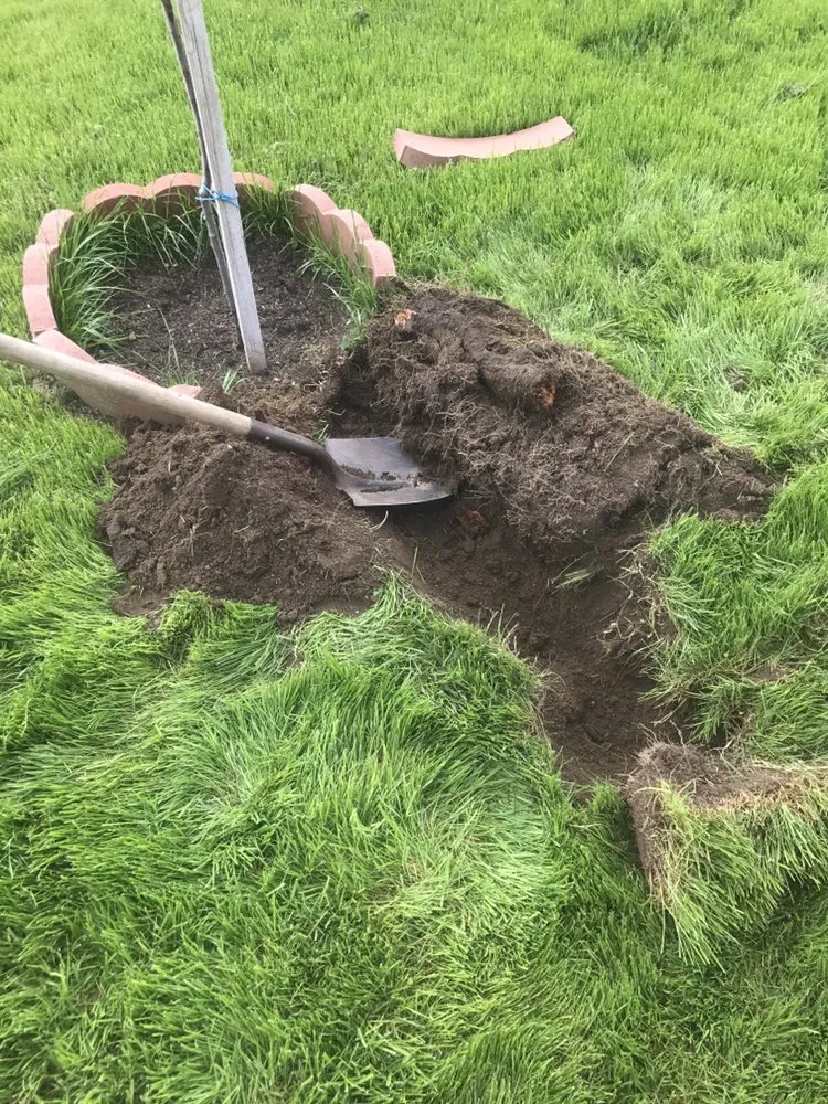 Expert residential landscaping in San Bernardino, CA - Mena Landscaping