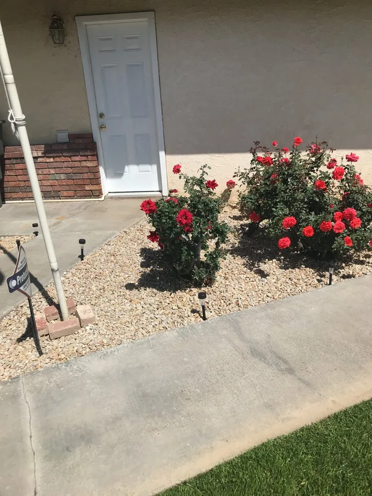 Local yard cleanup service for homes in San Bernardino, CA by Mena Landscaping